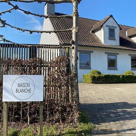 B&B Maison Blanche Gent Exterior foto