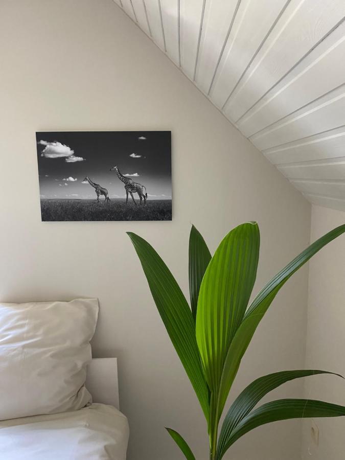 B&B Maison Blanche Gent Exterior foto